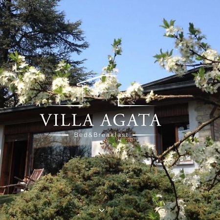 Villa Agata Reggio Emilia Exterior foto